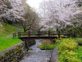 日本熊本旅游，探秘古都的魅力与风情-